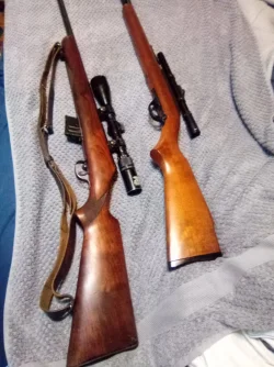 image000000 (76).webp