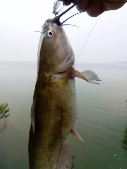 image000000 (27).webp
